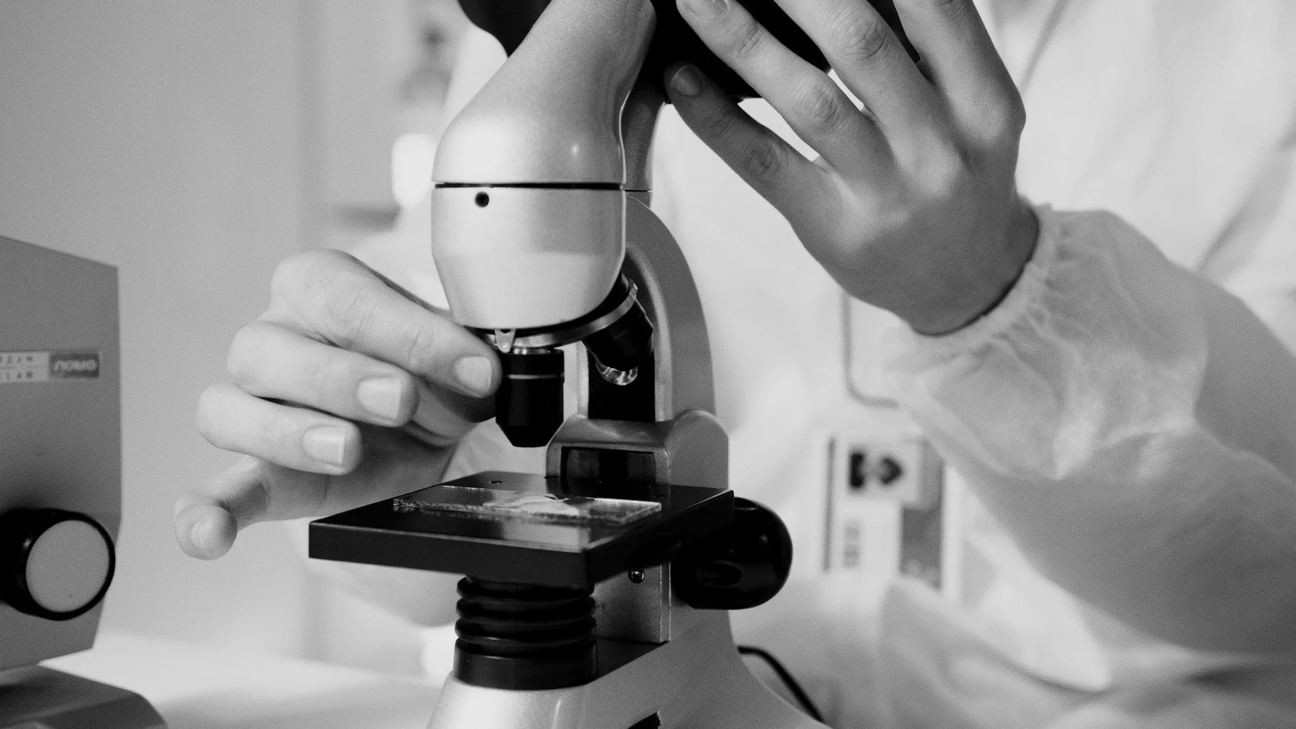 Phase One: Donor Screening, Matching, and Preparation medical laboratory technician examining samples during donor screening process